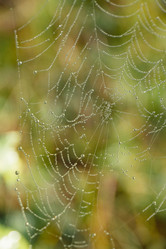 Similar image 21120534