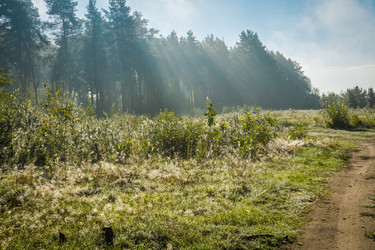 Similar image 21120535