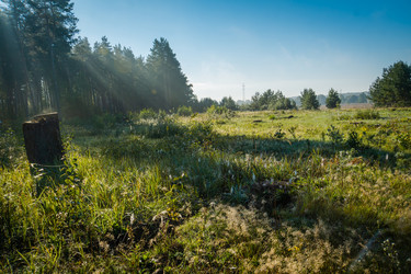 Similar image 21120536