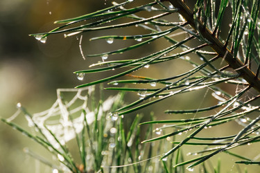 Similar image 21120540