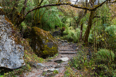 Similar image 21107096