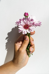 Similar image 21107099