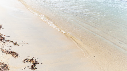 Similar image 21107100