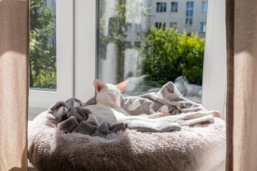 Similar image 21107002