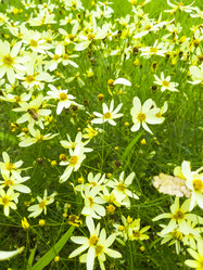 Similar image 21107005