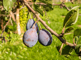 Similar image 21107006