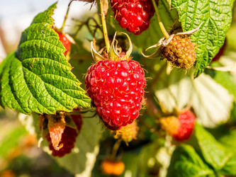 Similar image 21107007