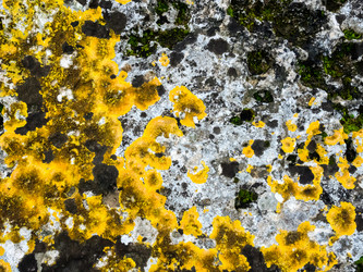 Similar image 21107106