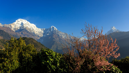 Similar image 21107107