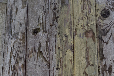 Similar image 21131391