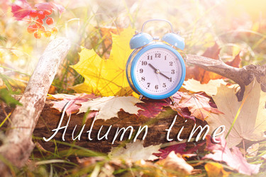 Similar image 21108507