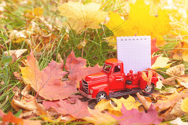 Similar image 21108509