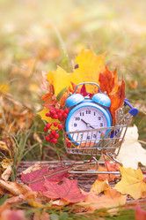 Similar image 21108512