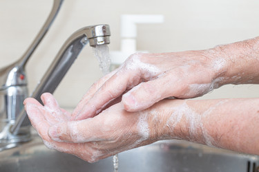 Similar image 21108513