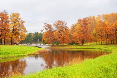 Similar image 21113715