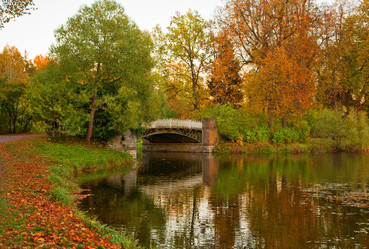 Similar image 21113724