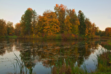 Similar image 21113726