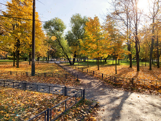 Similar image 21113772