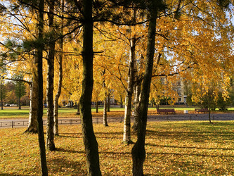 Similar image 21113773