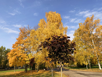 Similar image 21113775