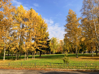 Similar image 21113776