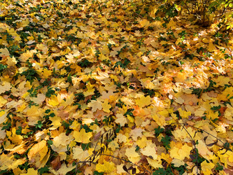 Similar image 21113778