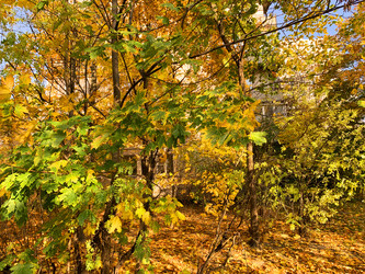 Similar image 21113780