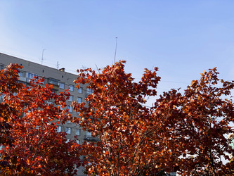 Similar image 21113781