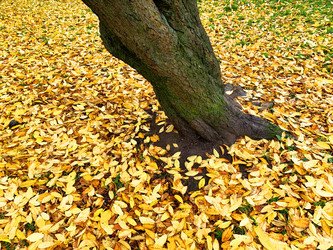 Similar image 21113783