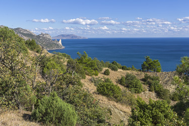 Similar image 21107410