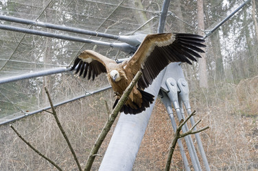 Similar image 21107415