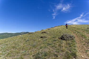 Similar image 21107416