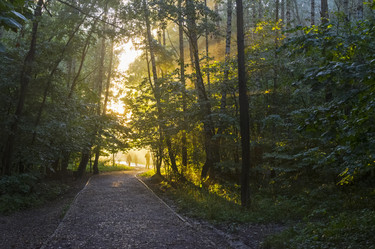 Similar image 21107420