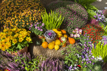 Similar image 21107344