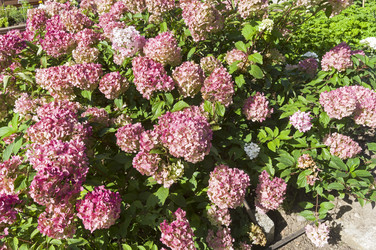 Similar image 21107345