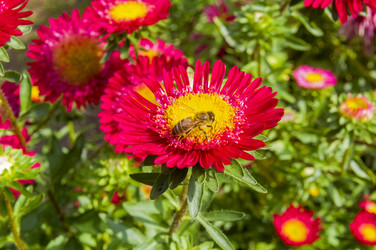 Similar image 21107347