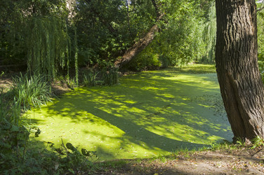 Similar image 21107348