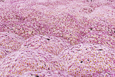 Similar image 21107349