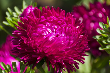 Similar image 21107353