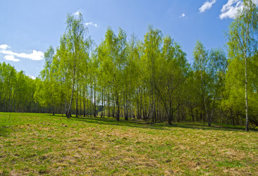 Similar image 21107357