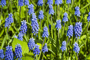 Similar image 21107359