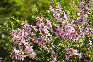 Similar image 21107360