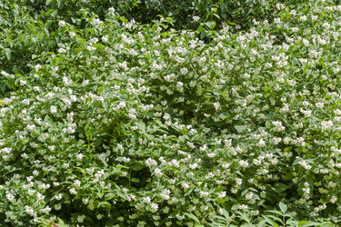 Similar image 21107361