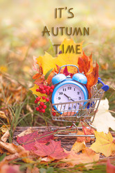 Similar image 21108283