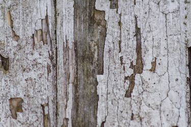 Similar image 21131393