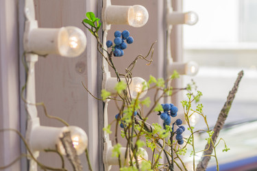 Similar image 21131620