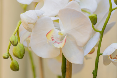 Similar image 21131685