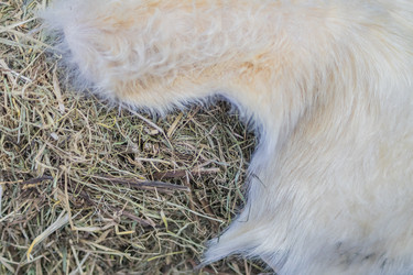 Similar image 21113295