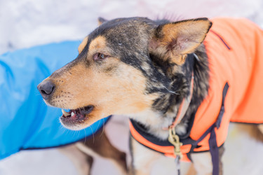 Similar image 21113304