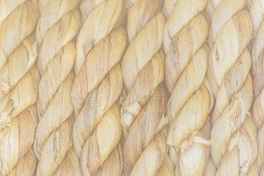 Similar image 21113310